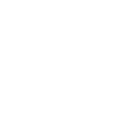 Copilot Logo